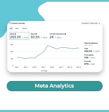 E Commerce Store Launch By Tericsa - Keryanapk.jpg
